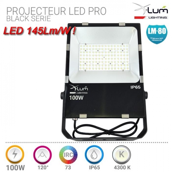Projecteur électrique 100W IP66 FB ELECTRICITE